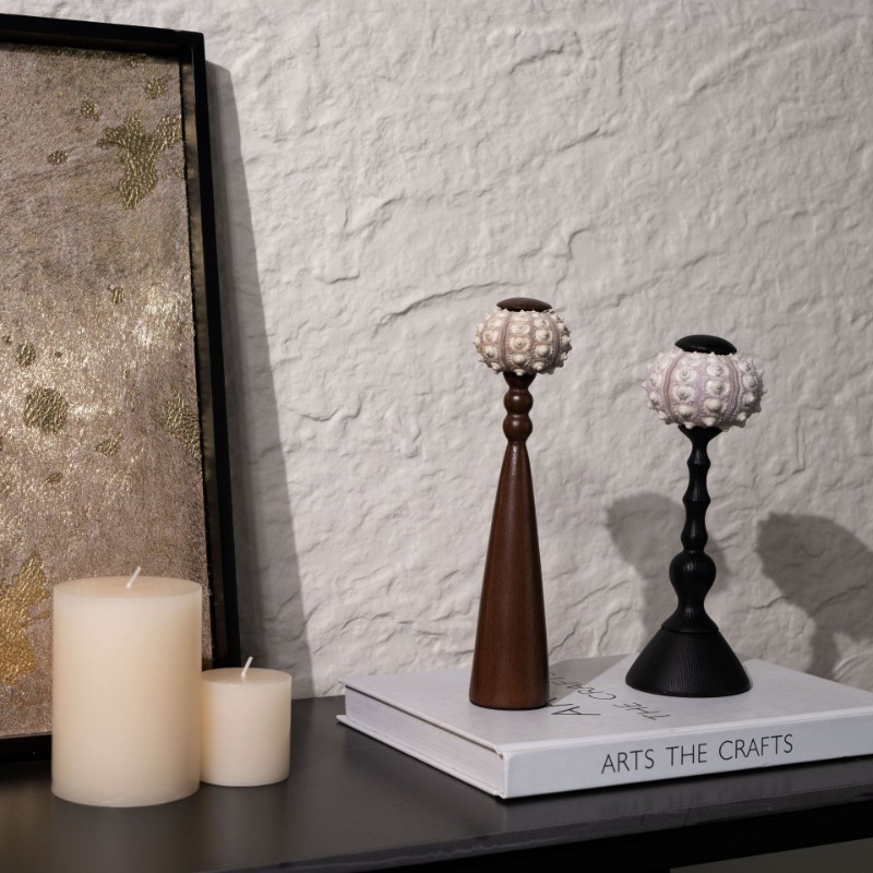 Kreatywna rzeźba muszli ręczni – Interior Design Organic Modern recenzja i cena