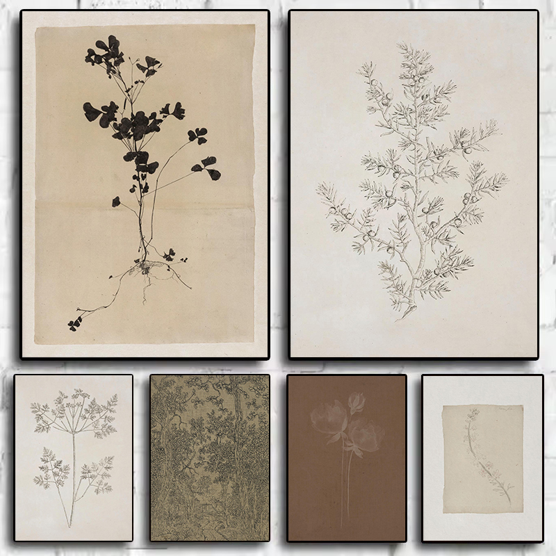 Vintage Minimalistyczny Rysune – Interior Design Sketch recenzja i cena